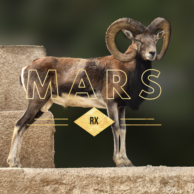 Mars Retrograde Transit